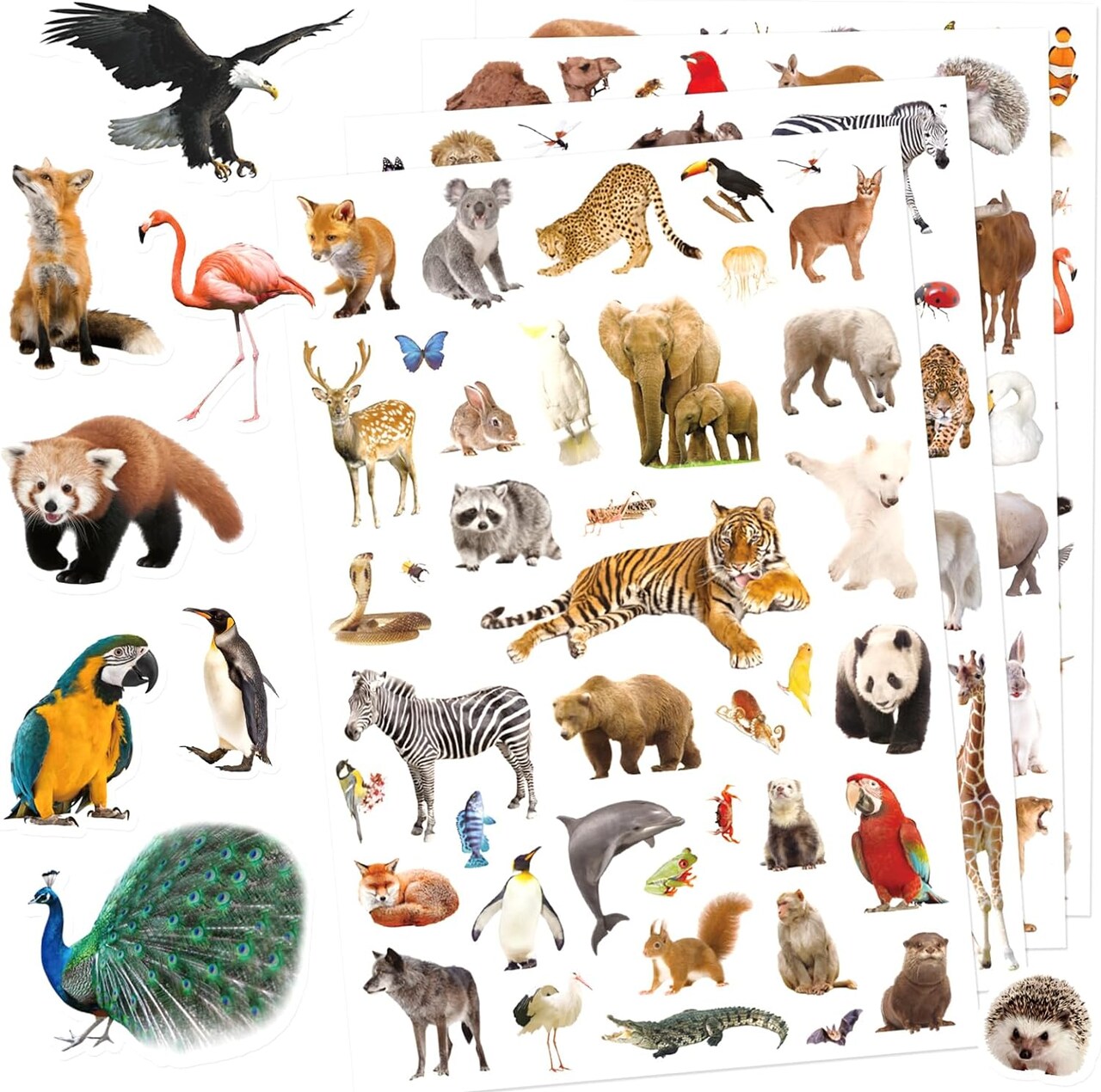 Wild Animals Stickers 750 Count Safari Jungle Animal Woodland Wildlife Zoo